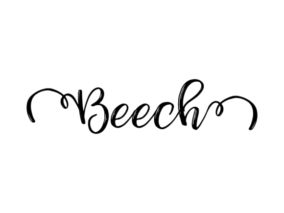Beech Lettering: Hand-Drawn Vector Monochrome Lettering for Real Creative Work