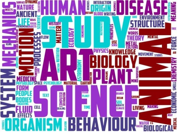 Sarcology Wordart Print: Hand-Drawn Inspiration for Creative Projects