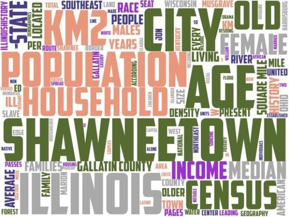 Shawneetown Typography: A Strategic Tool for Intentional Visual Communication